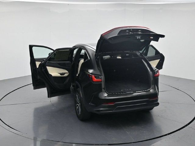 2024 Lexus NX 250 Premium