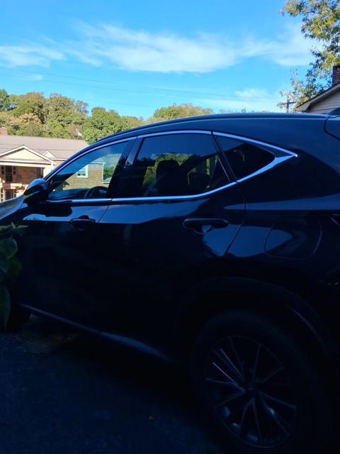 2024 Lexus NX 250 Premium