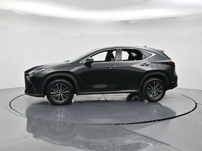 2024 Lexus NX 250 Premium