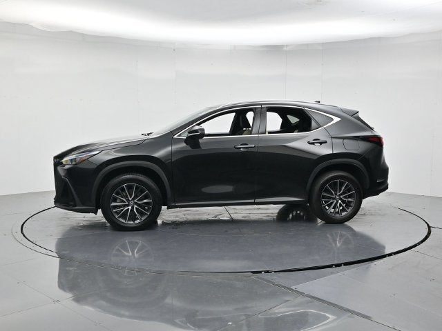 2024 Lexus NX 250 Premium