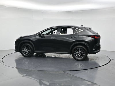 2024 Lexus NX 250 Premium