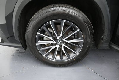 2024 Lexus NX 250 Premium