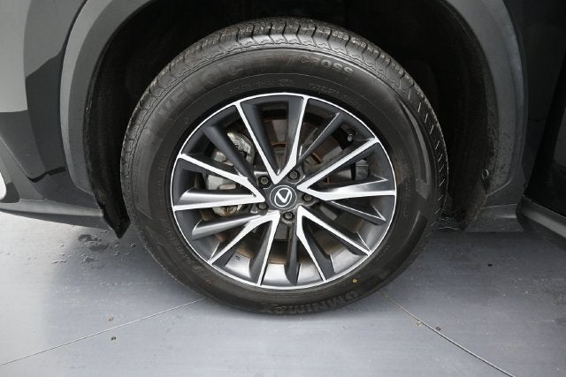 2024 Lexus NX 250 Premium
