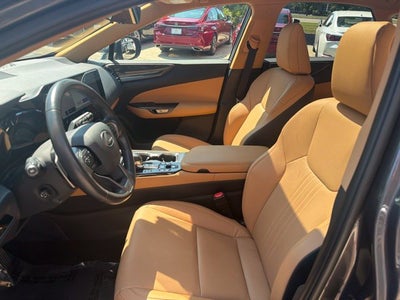 2025 Lexus NX 350 Premium