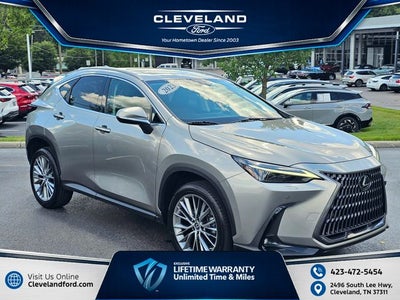 2023 Lexus NX Luxury