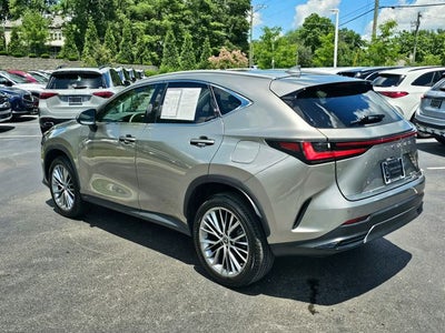 2023 Lexus NX Luxury