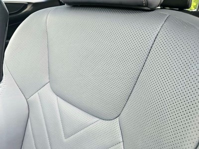 2023 Lexus NX Luxury