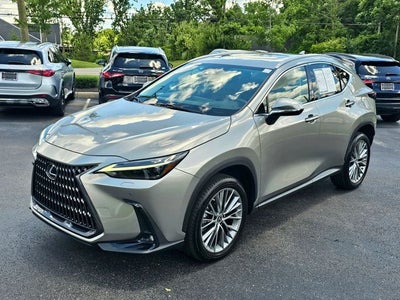 2023 Lexus NX Luxury
