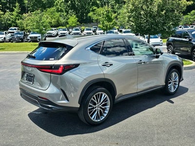 2023 Lexus NX Luxury