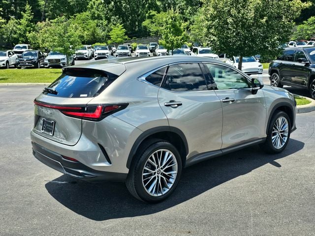 2023 Lexus NX Luxury