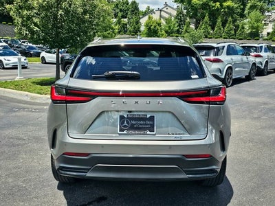 2023 Lexus NX Luxury