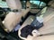2019 BMW 3 Series 330i