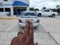 2003 Nissan Sentra GXE