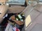 2016 Hyundai Sonata Base