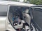 2015 Toyota Highlander XLE V6