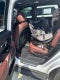 2024 Kia Telluride SX Prestige