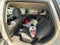 2019 Kia Sorento 2.4 L