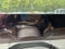 2025 Nissan Armada Platinum