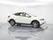 2011 Nissan Murano CrossCabriolet Base