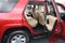 2022 Toyota 4Runner SR5 Bluetooth Power Seat
