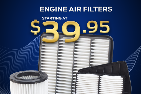 Engine Air Filters