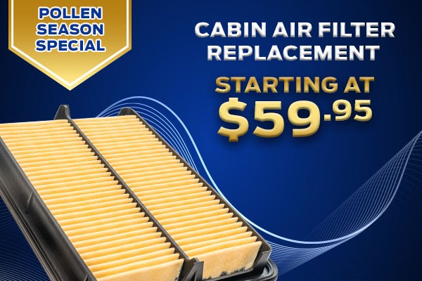 Pollen Season Special